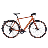 Raleigh Trace Electric Bike 2022 Copper