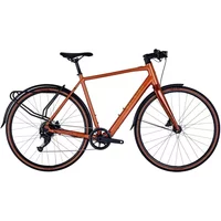 Raleigh Trace Electric Bike 2022 Copper