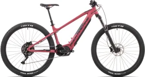 Rockmachine Blizz E40-29 Electric Mountain Bike - L Frame