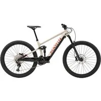 Marin Rift Zone E1 29"